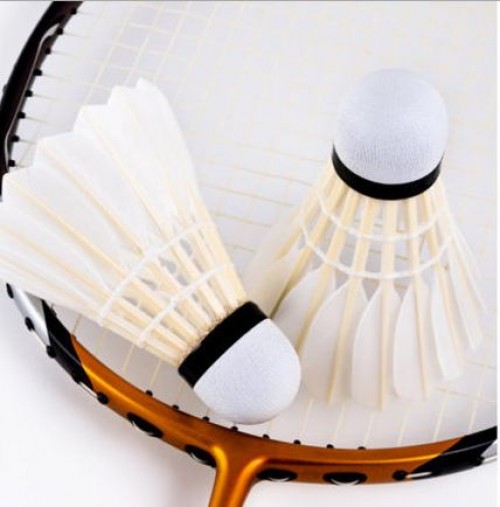 3. Bachtal Badminton-Turnier  für Aktive und Hobbyspieler 